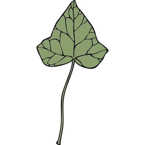 johnny automatic ivy leaf 7 Thumbnail