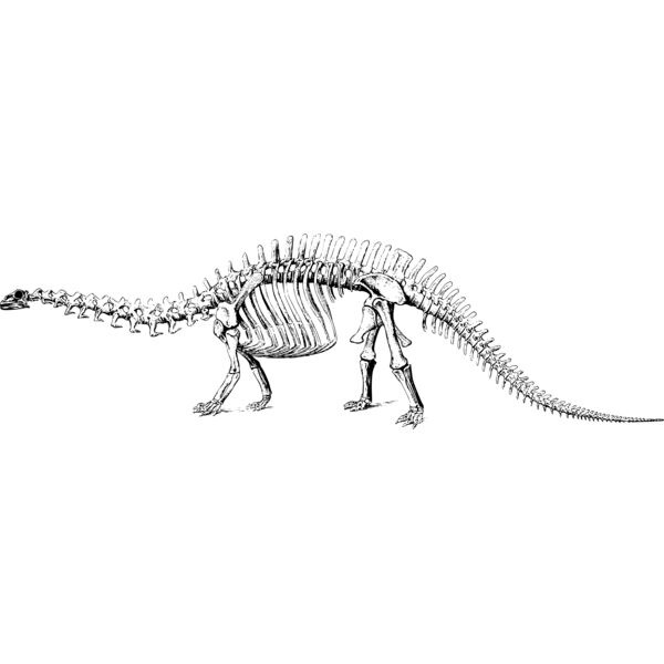 brontosaurus Thumbnail