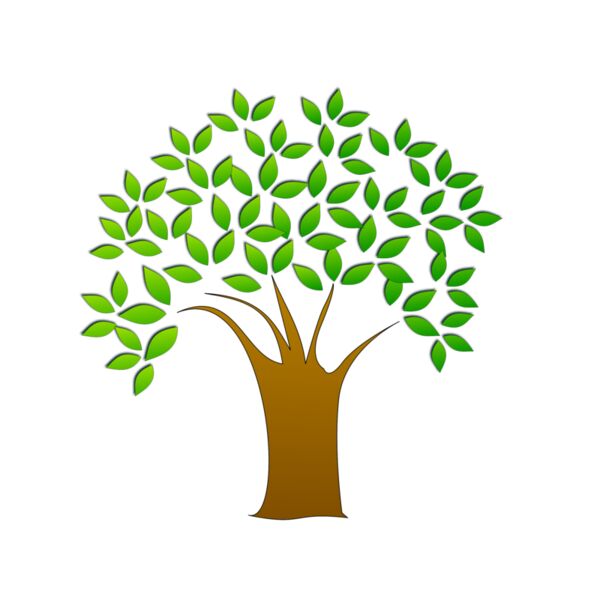 1305612144  2  Thumbnail