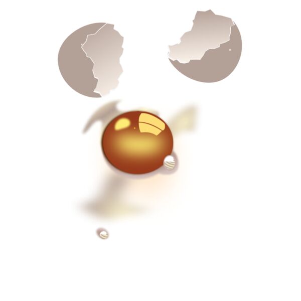 tomas arad egg  uncooked Thumbnail