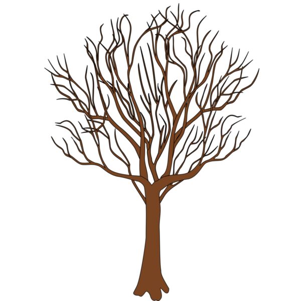 tree in  autumn Thumbnail