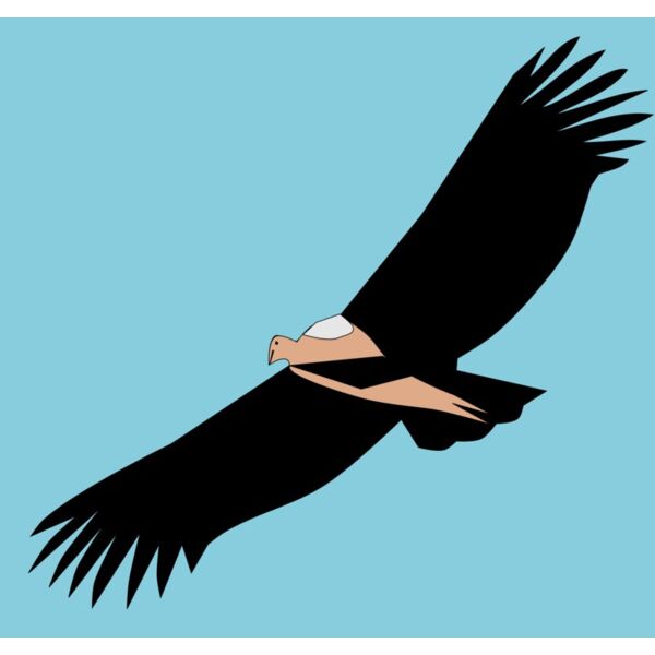 1308171430  2  Thumbnail