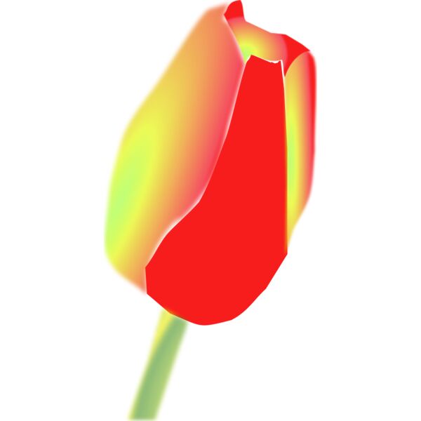 larsen Tulip Flower Thumbnail