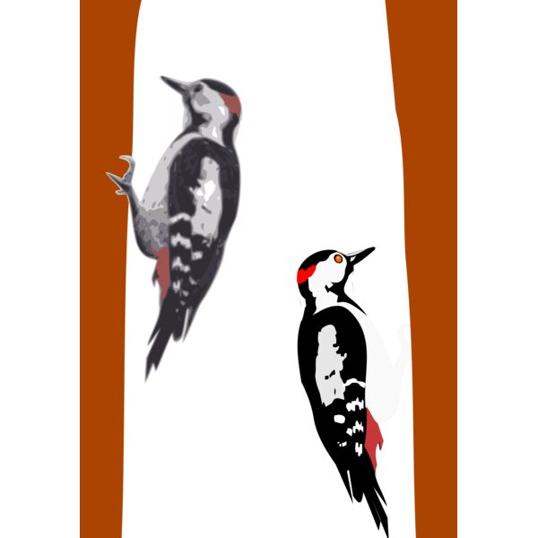 woodpecker Thumbnail