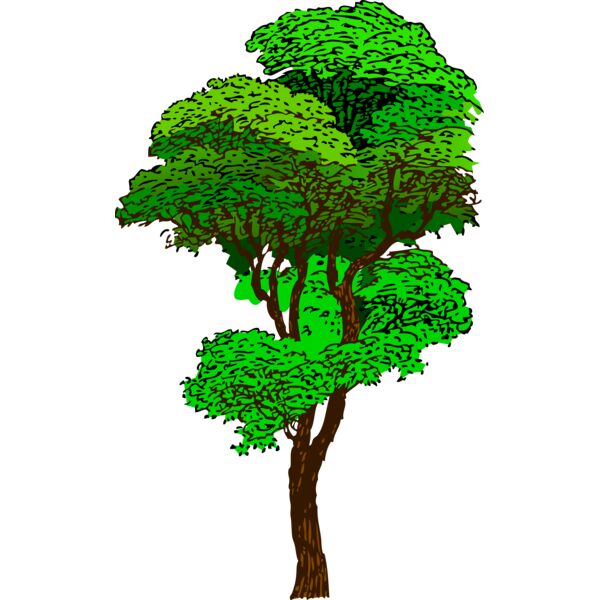 tree colorized 001 Thumbnail