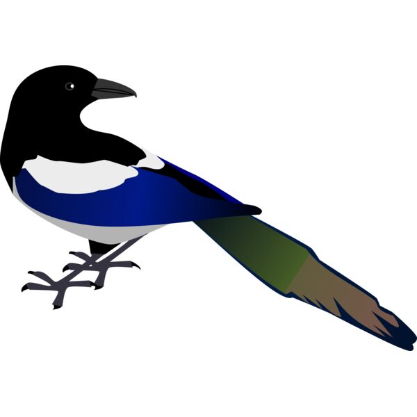 zeimusu Magpie Thumbnail