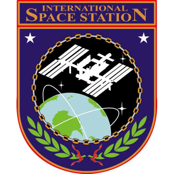 ISS Insignia Thumbnail