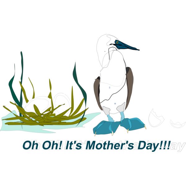 Reedabadeeda Sea Bird Thumbnail