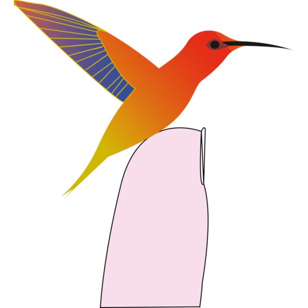 hummingbird Thumbnail