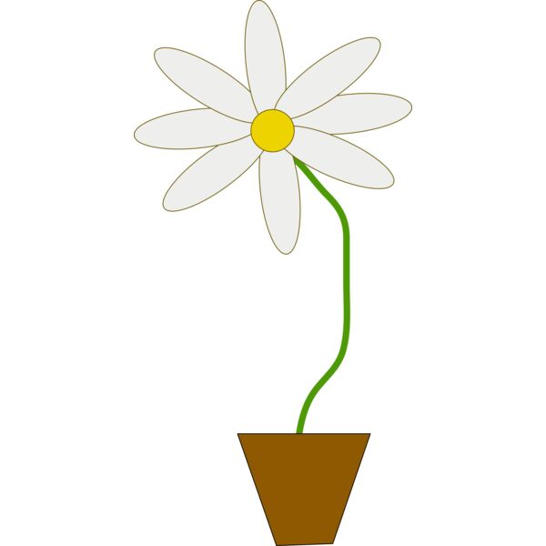 mcol flower in a pot Thumbnail