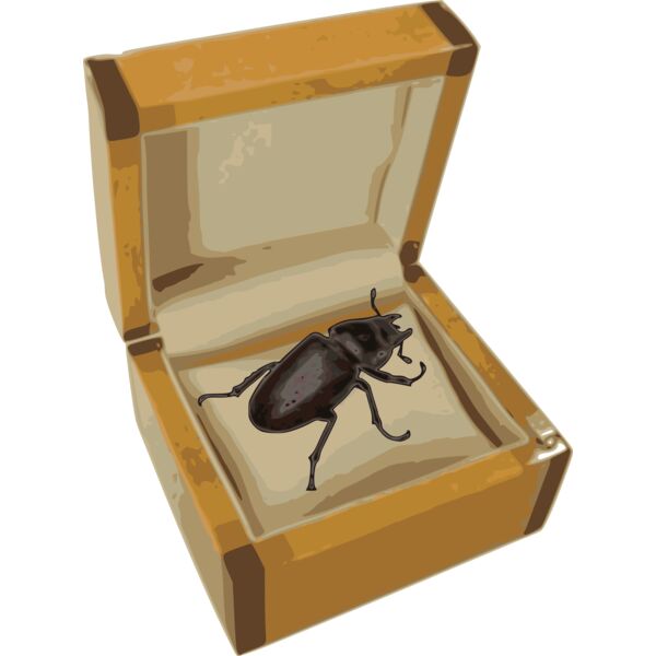 beetle in a box  2  Thumbnail