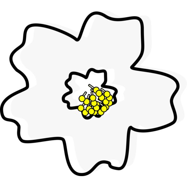 sakura dave pena 01 Thumbnail