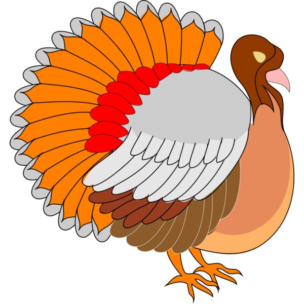 Turkey Thumbnail