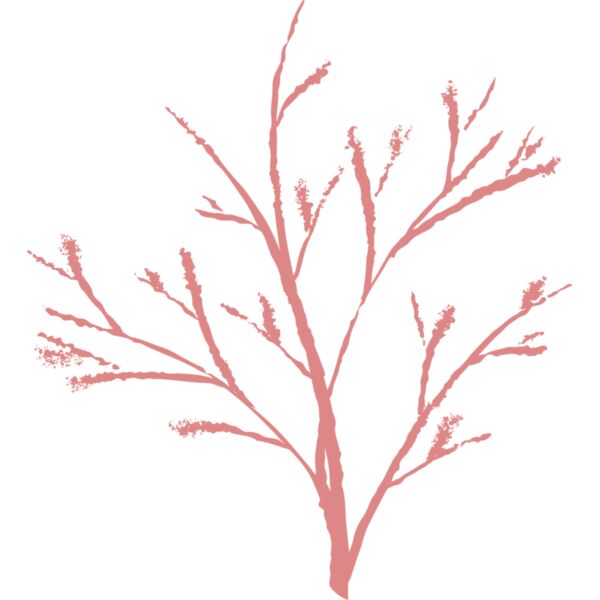 Jenny Arder Tree Thumbnail