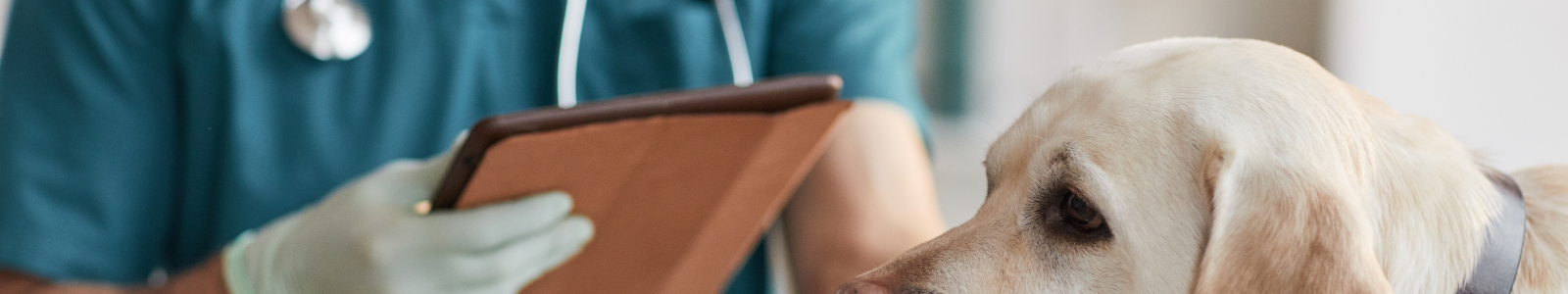 Personalised office workwear uniforms