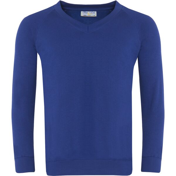 Banner Childs V-Neck Sweatshirt Thumbnail