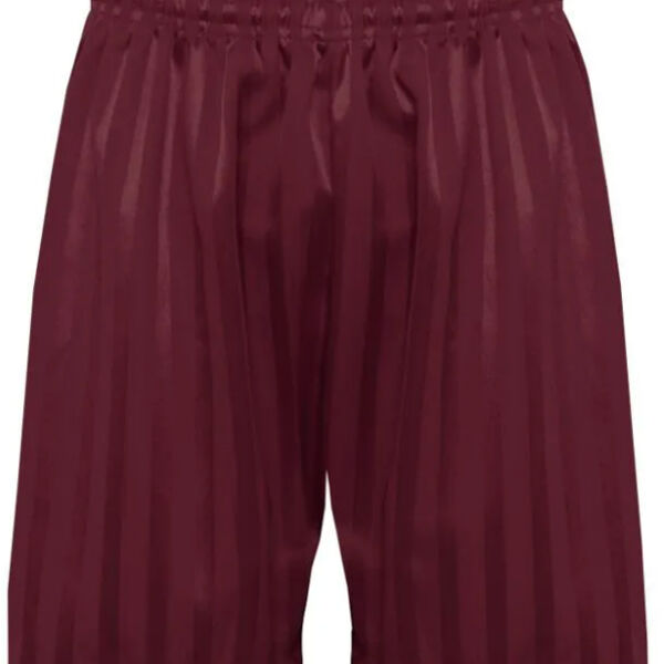 Holm Cultram Abbey C of E Primary School Adult PE Shorts Thumbnail