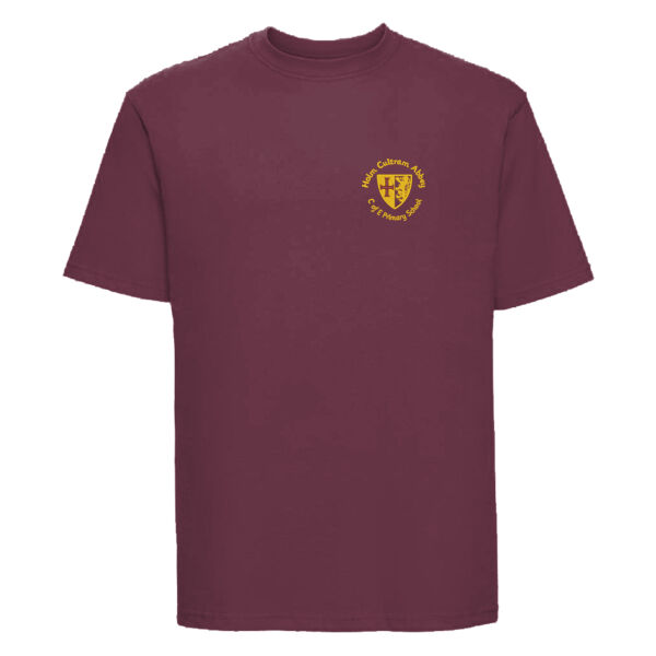 Holm Cultram Abbey C of E Primary School PE Tshirt (adult sizes) Thumbnail