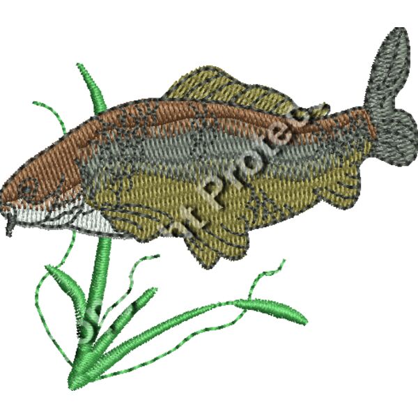 WL0579 carp Thumbnail