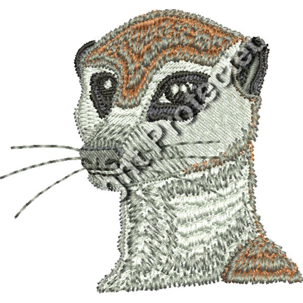 Meerkat 1 Thumbnail