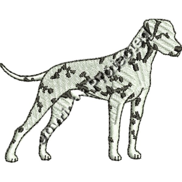 Dalmatian Thumbnail