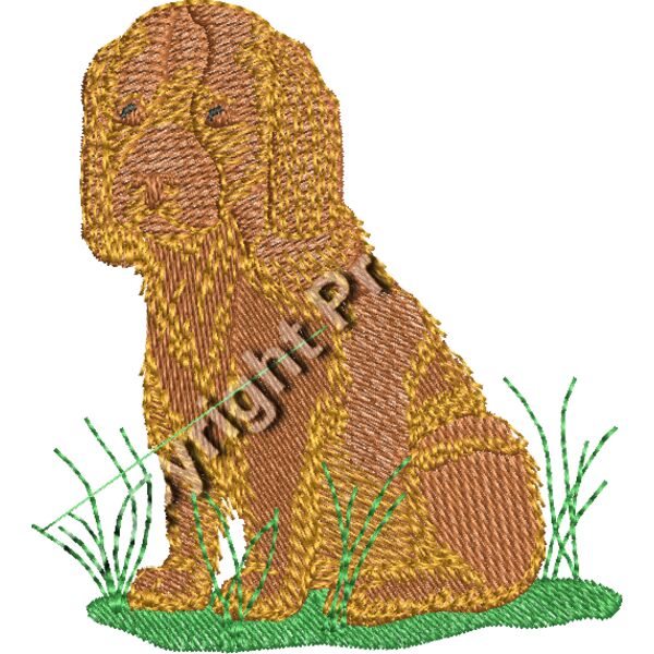 Griffiths Spaniel Thumbnail