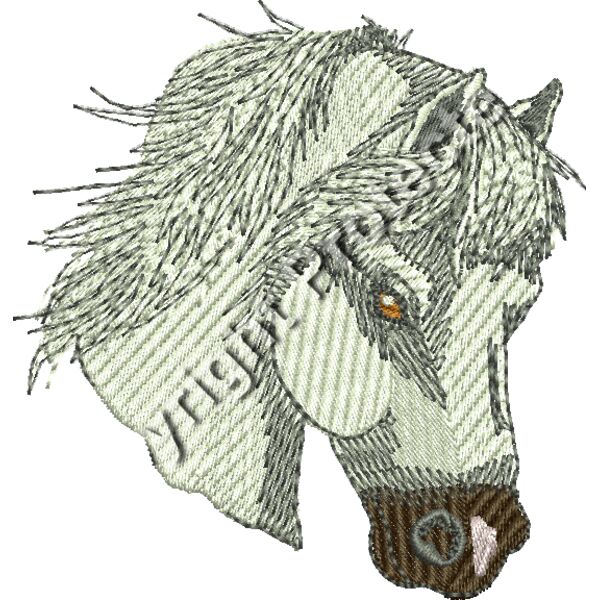 HR0907 Welsh Cob Thumbnail