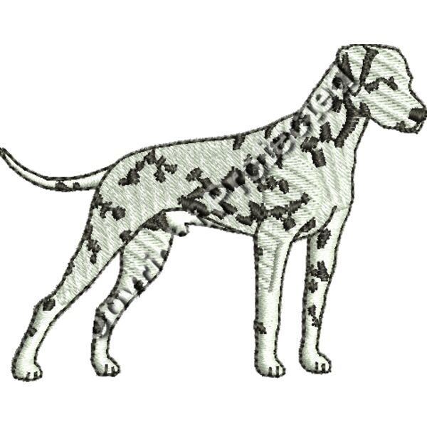 Dalmatian Thumbnail