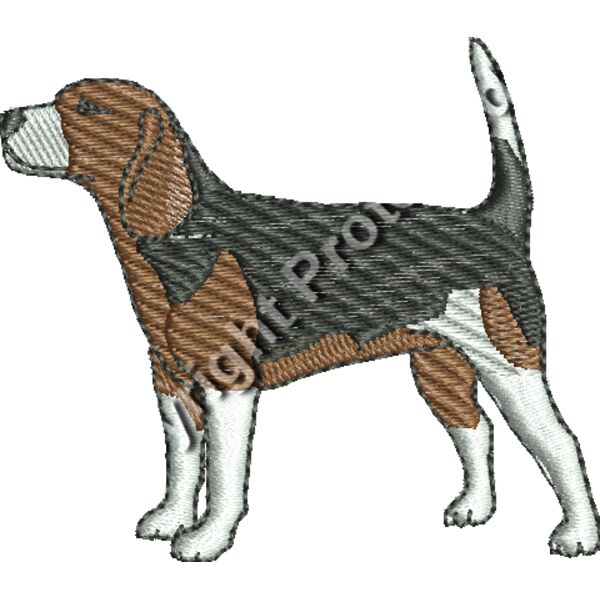 Beagle Thumbnail
