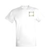 SOLS Regent Unisex Embroidred T-Shirt Thumbnail