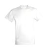 SOLS Regent Unisex Embroidred T-Shirt Thumbnail