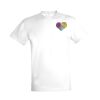 SOLS Regent Unisex Embroidred T-Shirt Thumbnail
