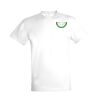 SOLS Regent Unisex Embroidred T-Shirt Thumbnail